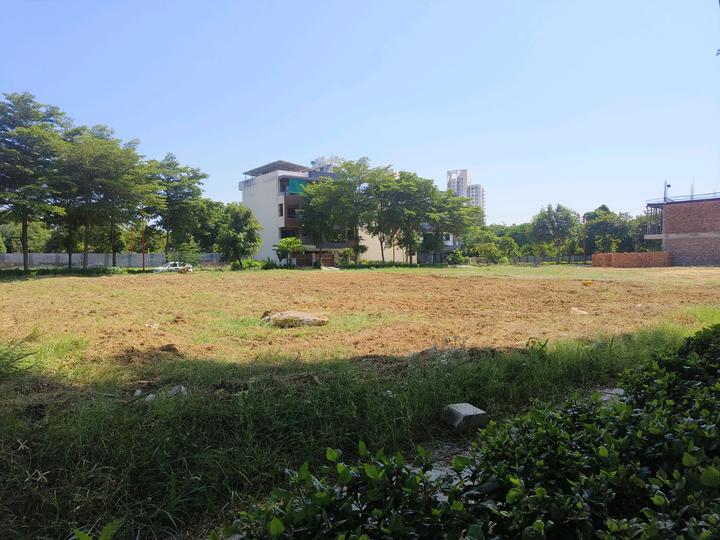 Block A, Sushant Lok Phase 1 Main Image 1