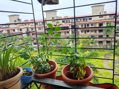 Balcony Image of 750 Sq.ft 1 BHK Apartment / Flat for sale in Goa Velha Goa for Rs. 5700000