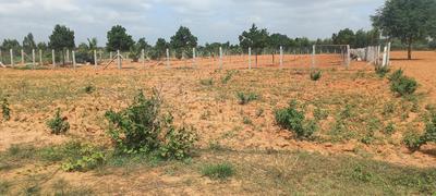 Image of 2738 Sq.ft Residential Plot / Land for sale in Somalapura, Chikballapur District for Rs. 9993700