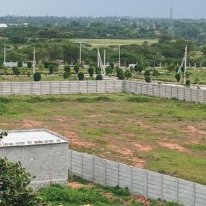 Gowdavalli Plot View 1