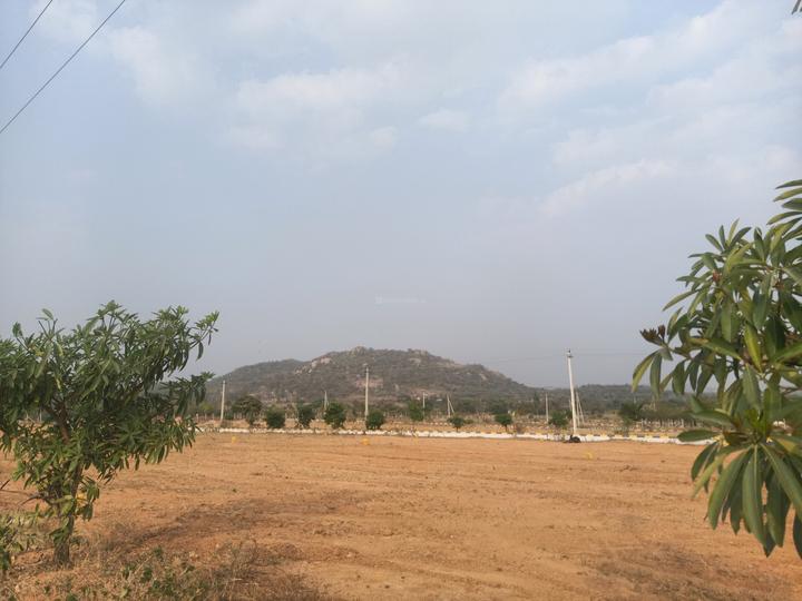 Fortune Butterfly City Extension Main Image 1