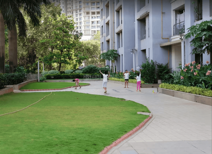 Dosti Flamingos Main Image 1