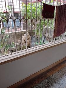 Balcony Image of 2200 Sq.ft 4 BHK Independent House for sale in Garia, Sonarpur Kolkata for Rs. 15000000