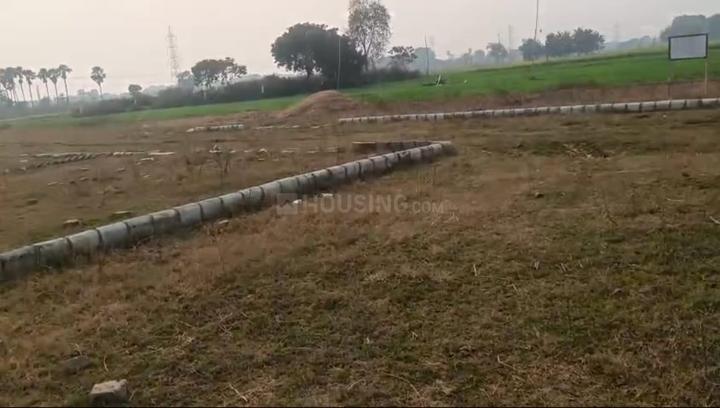 Prakriti green  Main Image 1