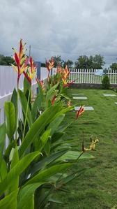 Image of 1800 Sq.ft Residential Plot / Land for sale in Buchireddypalem, Nellore for Rs. 1625000
