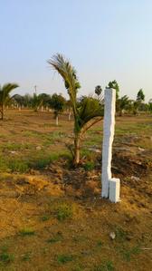 Image of 121 Sq.ft Residential Plot / Land for sale in Nedunur, Hyderabad for Rs. 1452000