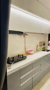 Kitchen Image of 550 Sq.ft 1 BHK Apartment / Flat for rent in Karia Konark Campus, Viman Nagar Pune for Rs. 40000
