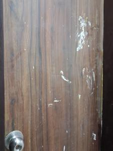 Common Bathroom Image of 600 Sq.ft 1 BHK Apartment / Flat for sale in Sector 73 Noida for Rs. 2500000