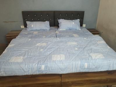Bedroom Image of 435 Sq.ft 1 RK Apartment / Flat for rent in Paramount Golfforeste Premium Apartments, Surajpur Greater Noida for Rs. 15010