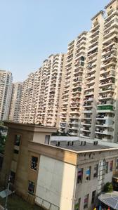 Image of 1000 Sq.ft 2 BHK Apartment / Flat for rent in ACE City, Noida Extension, Greater Noida for Rs. 19000