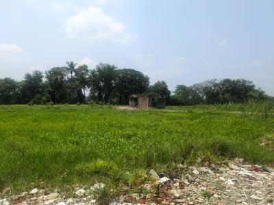 Residential Plot