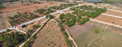 Image of 6534 Sq.ft Residential Plot / Land for sale in Narsapura, Kolar for Rs. 3920400