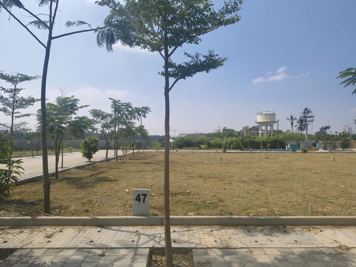 Konadasapura Main Image 1