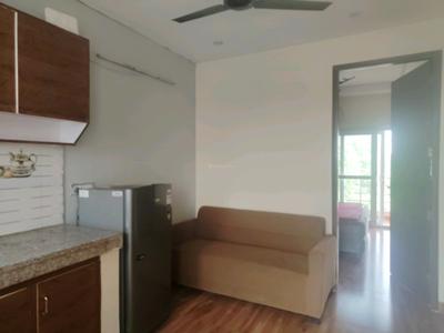 Living Room Image of 650 Sq.ft 1 BHK Builder Floor for rent in Sector 52A Gurgaon for Rs. 33000