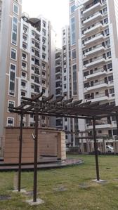 Image of 1550 Sq.ft 3 BHK Apartment / Flat for rent in Aisshpra Central Towers, Mohaddipur, Gorakhpur for Rs. 19000