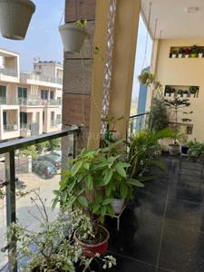 Balcony Image of 2350 Sq.ft 3 BHK Builder Floor for rent in Ansal Esencia Sector 67, Sector 67 Gurgaon for Rs. 52000