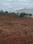 Chettipalayam Plot View 2
