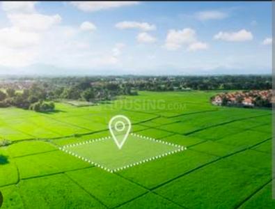 Residential plot Plot View 1