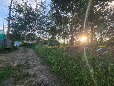 Puthenkurish Plot View 2