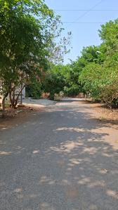 SLV SLV Suvarna Plot View 2
