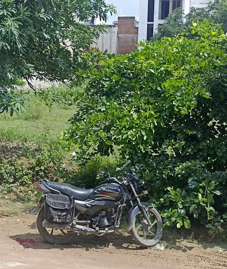 Tajganj Main Image 1