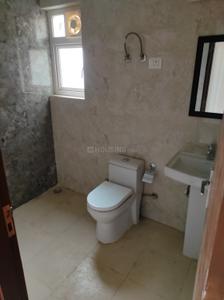 Bathroom Image of 1245 Sq.ft 2 BHK Apartment / Flat for rent in ACE Divino, Noida Extension Greater Noida for Rs. 24000