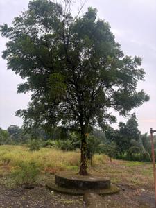 Image of 624 Sq.ft 1 BHK Farm House for sale in Palghar, Mumbai for Rs. 20000000