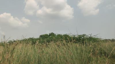 Image of 3280 Sq.ft Residential Plot / Land for sale in Tambaram, Chennai for Rs. 6560000