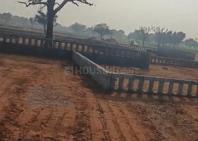 Sirsi Plot View 3