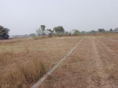Image of 1200 Sq.ft Residential Plot / Land for sale in Gamharia, Jamshedpur for Rs. 822000