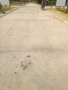 Image of 1395 Sq.ft Residential Plot / Land for sale in Reliance Met City, Yakubpur, Jhajjar for Rs. 16276000