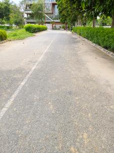 Experion The Westerlies Internal Roads 2