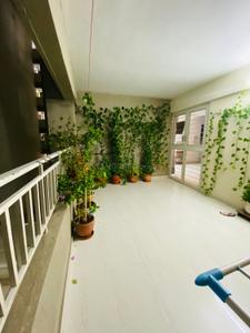 Balcony Image of 1150 Sq.ft 2 BHK Apartment / Flat for rent in Vijayraj The Miracle, Punawale Pune for Rs. 25000
