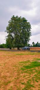 Patel Nagar Plot View 2