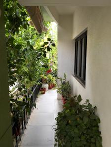 Balcony Image of 1200 Sq.ft 3 BHK Duplex for rent in Narayan Gardens, New Alkapuri Vadodara for Rs. 50000