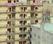 Building Image of Galaxy Frontier PG  in Sector 59, Noida