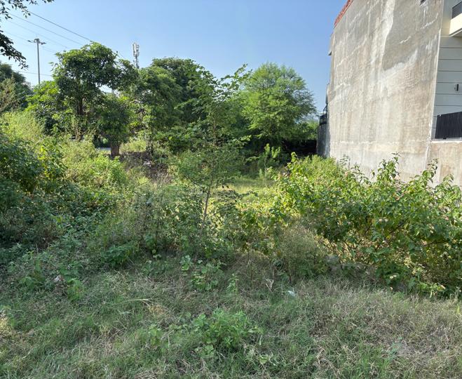 Sector -23 Main Image 1