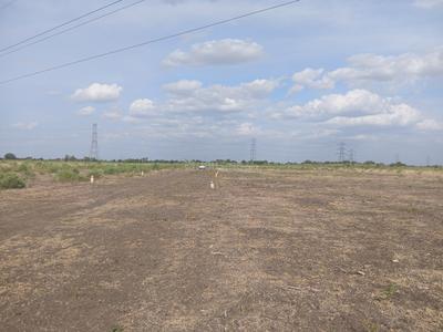 Image of 30502 Sq.ft Residential Plot / Land for sale in Tirumangalam, Madurai for Rs. 2450000