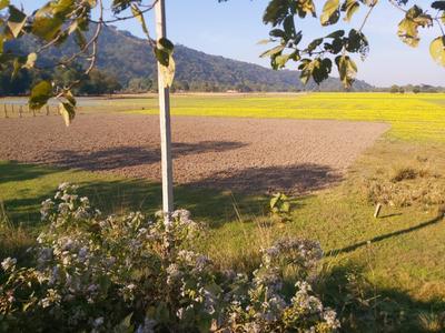Image of 17280 Sq.ft Residential Plot / Land for sale in Burha Mayang Par, Guwahati for Rs. 6500000