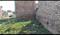 Ssb group Plot View 2