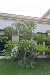 Building Image of 4800 Sq.ft 4 BHK Independent House for sale in Verla Canca Goa for Rs. 157500000