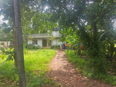 Image of 7840 Sq.ft 3 BHK Independent House for sale in Kayamkulam, Alappuzha for Rs. 6500000