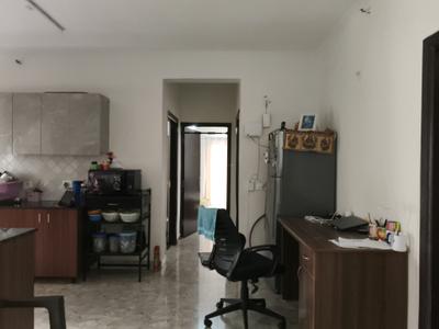 Dining Area Image of 1400 Sq.ft 3 BHK Apartment / Flat for rent in Amrapali Centurian Park, Techzone IV Greater Noida West, Greater Noida, Noida Extension Greater Noida for Rs. 25000