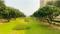MR Proview Delhi 99 Phase 3 More Images 2