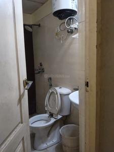 Bathroom Image of 920 Sq.ft 2 BHK Apartment / Flat for rent in Amrapali Castle, Chi V Greater Noida for Rs. 25000