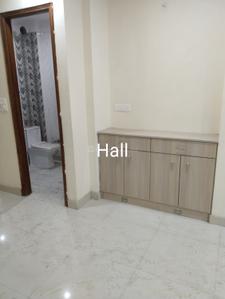 Hall Image of 770 Sq.ft 2 BHK Independent House for rent in Dashrath Puri New Delhi for Rs. 20000