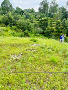Image of 1320 Sq.ft Residential Plot / Land for sale in Mukteshwar, Nainital for Rs. 14900000