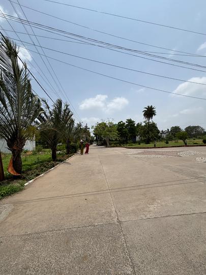 Target Tirumala Pride Extension Main Image 1