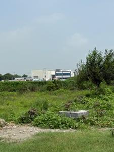 Maincha Plot View 3
