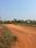 Patrapoda Main Image 1